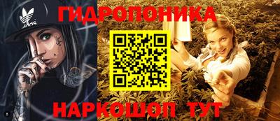 spice Гагарин
