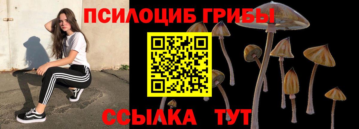 Новоалтайск  Псилоцибиновые грибы Magic Shrooms  Вход с VPN  Галлюциногенные грибы Magic Shrooms 